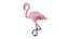 3D flamingo rigged model