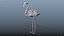 3D flamingo rigged model