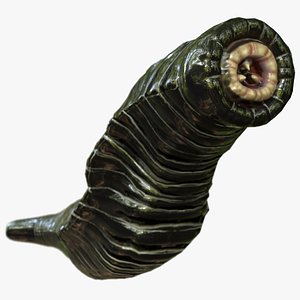 heavy leech 3D