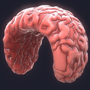 science cells 3D model
