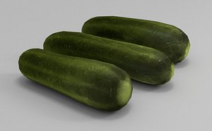 cucumber 3d max