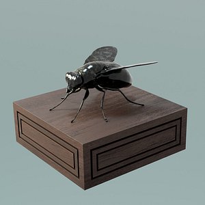 House Decoration Fly Bug Statue 3D
