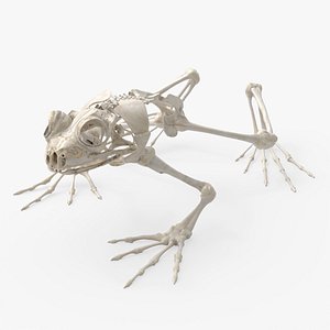 3D Frog Skeletal Walking Animated Rigged For Blender