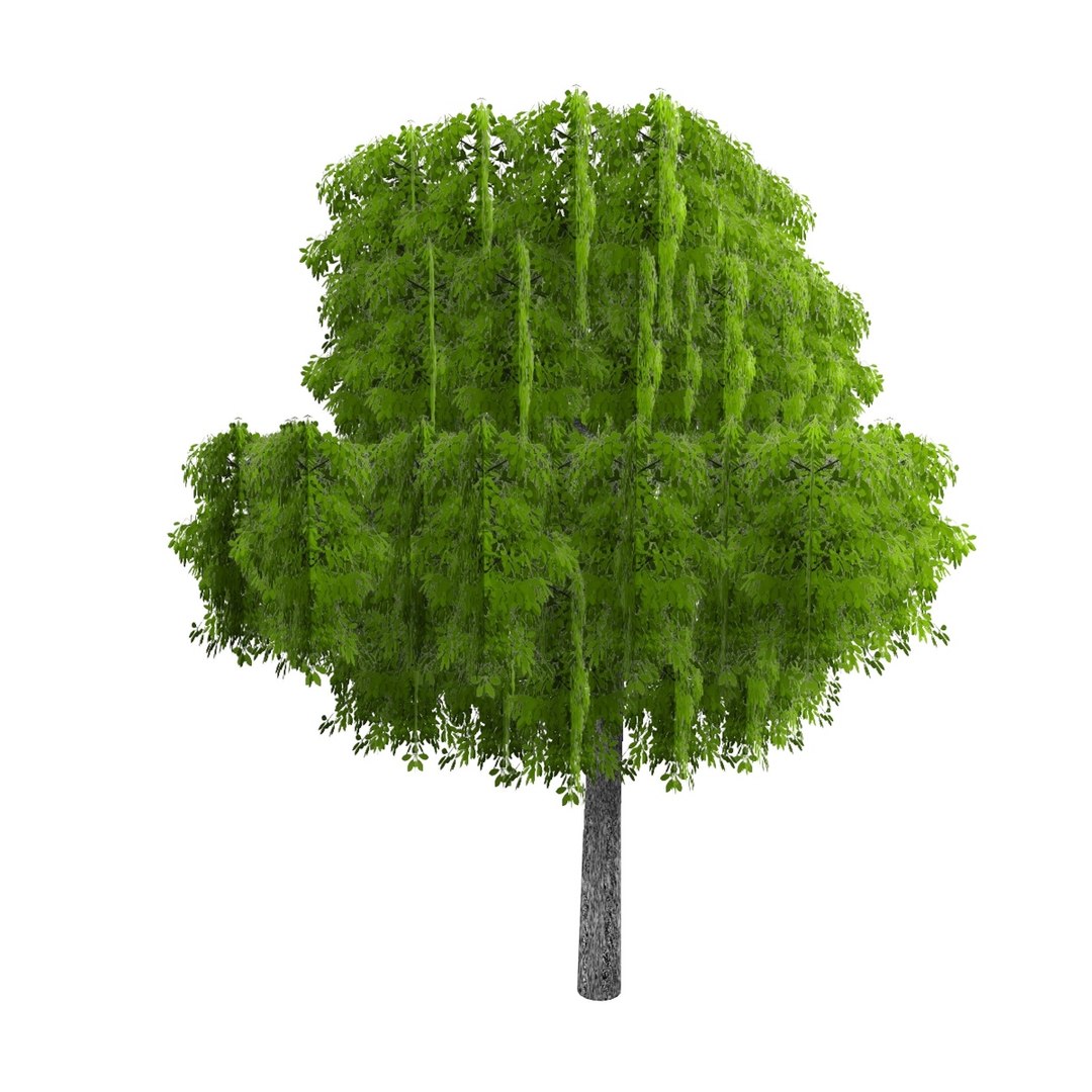 3dsmax Pc Tree