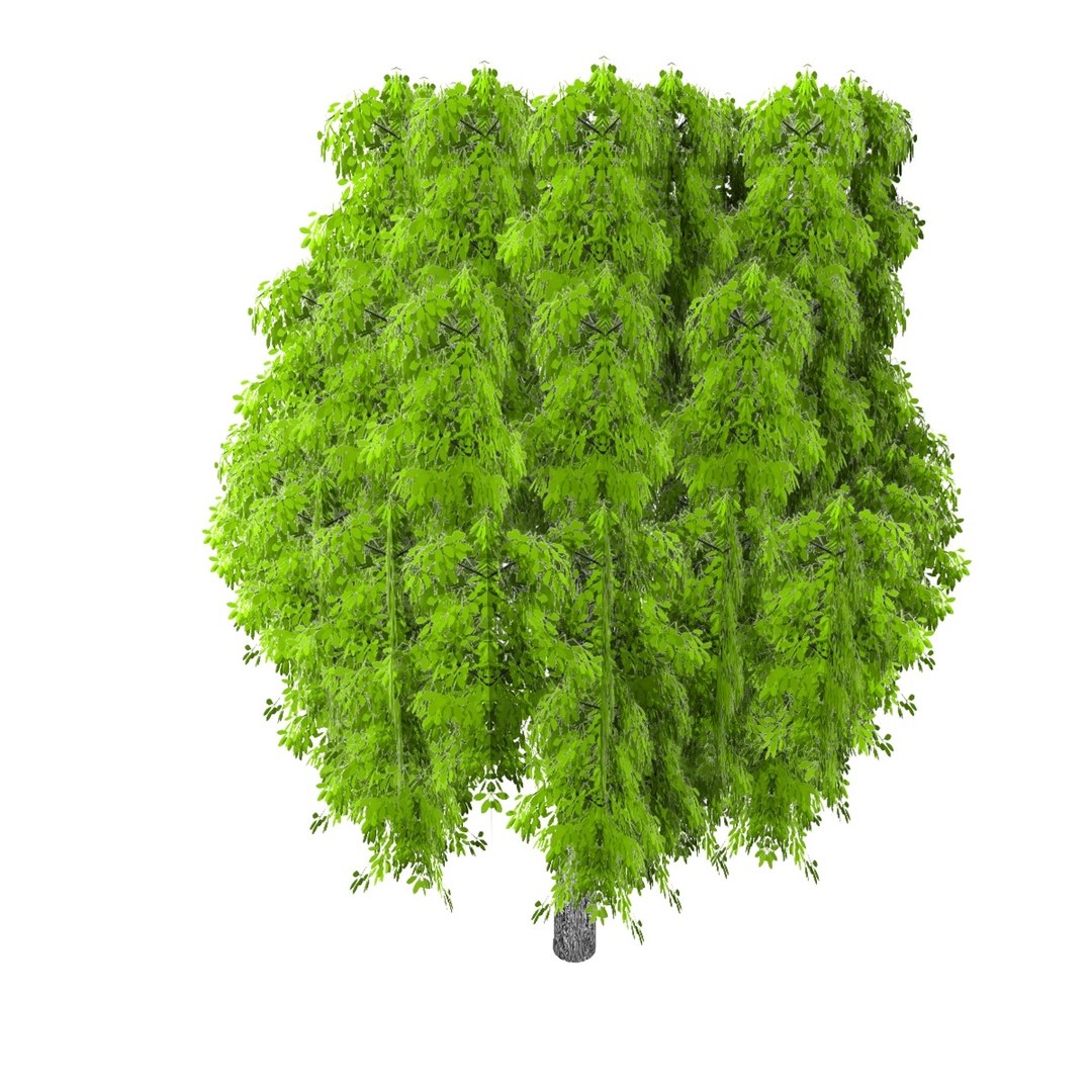 3dsmax Pc Tree