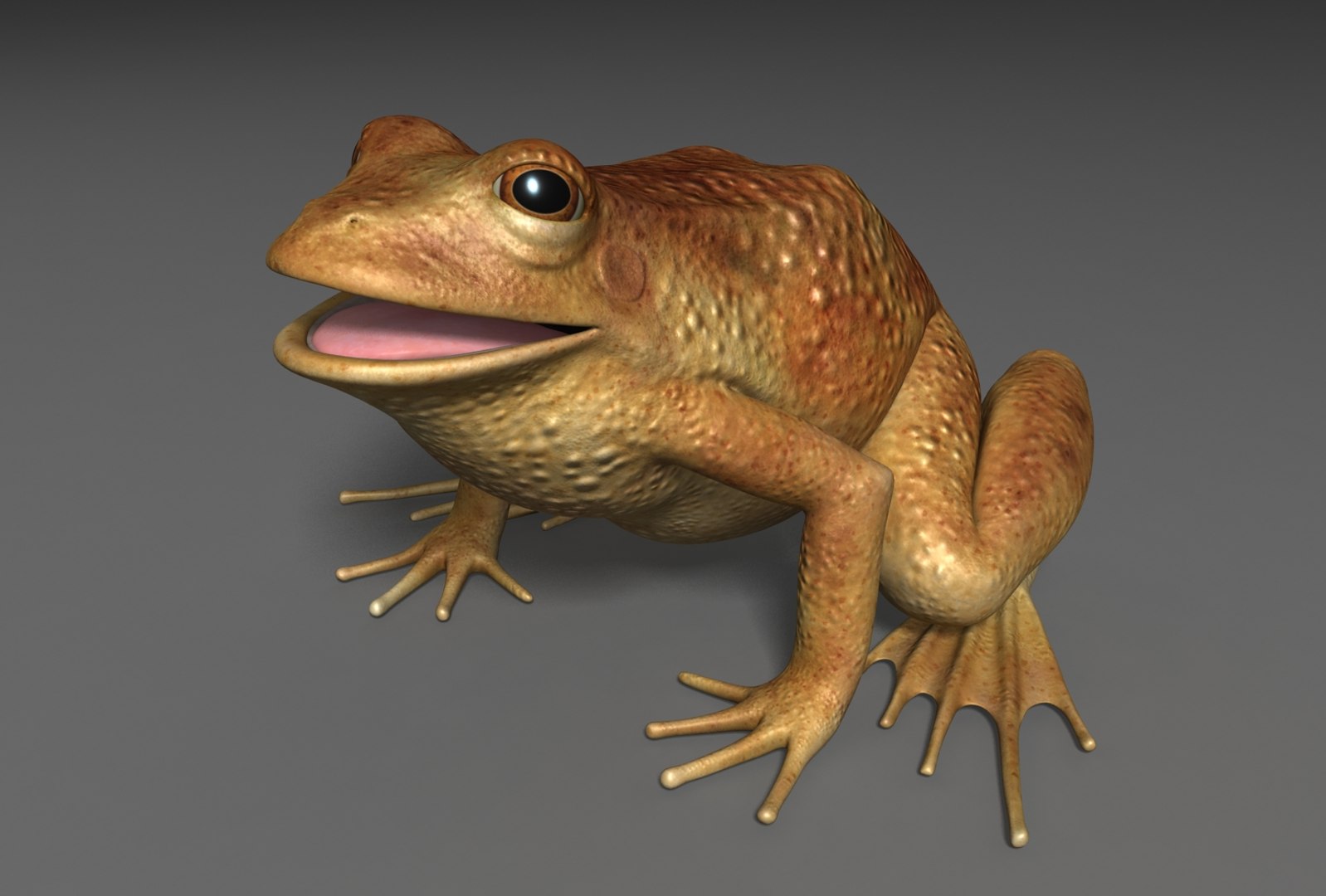 x toad toa https://p.turbosquid.com/ts-thumb/Mv/9lTkbK/7PvI4tnX/toad_02/jpg/1487488912/1920x1080/fit_q87/9d46848cf4465334a4247686a8a896a9b8045d1a/toad_02.jpg