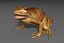 toad