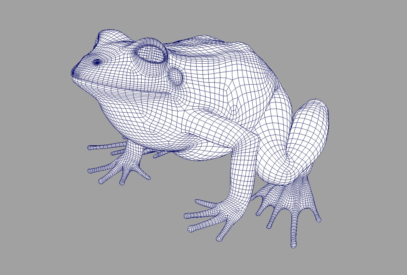 x toad toa https://p.turbosquid.com/ts-thumb/Mv/9lTkbK/NDOrXeZv/toad_10/jpg/1487488913/1920x1080/fit_q87/2338b68a36d3379de7bf909856e77b442f86b1ca/toad_10.jpg