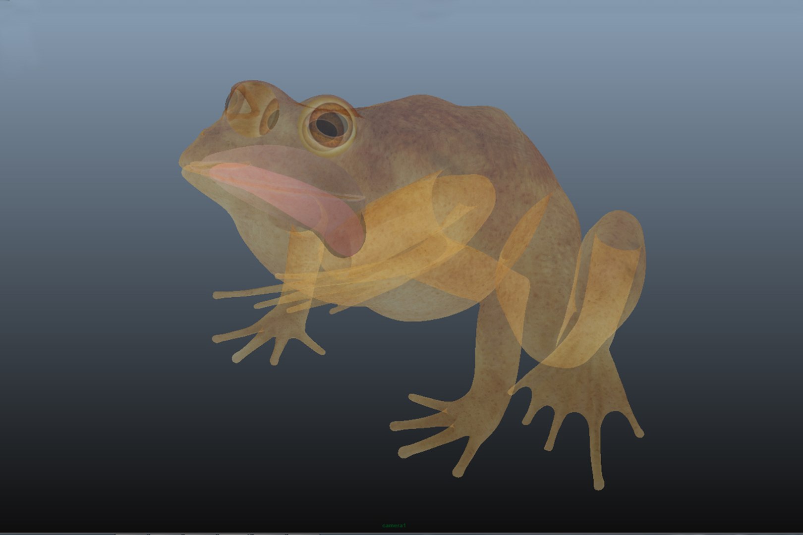 x toad toa https://p.turbosquid.com/ts-thumb/Mv/9lTkbK/tVQXNEdg/toad_11/jpg/1487488913/1920x1080/fit_q87/38ec0b4b2f52c71144934643761d17a0bc9d0f5e/toad_11.jpg