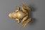 toad