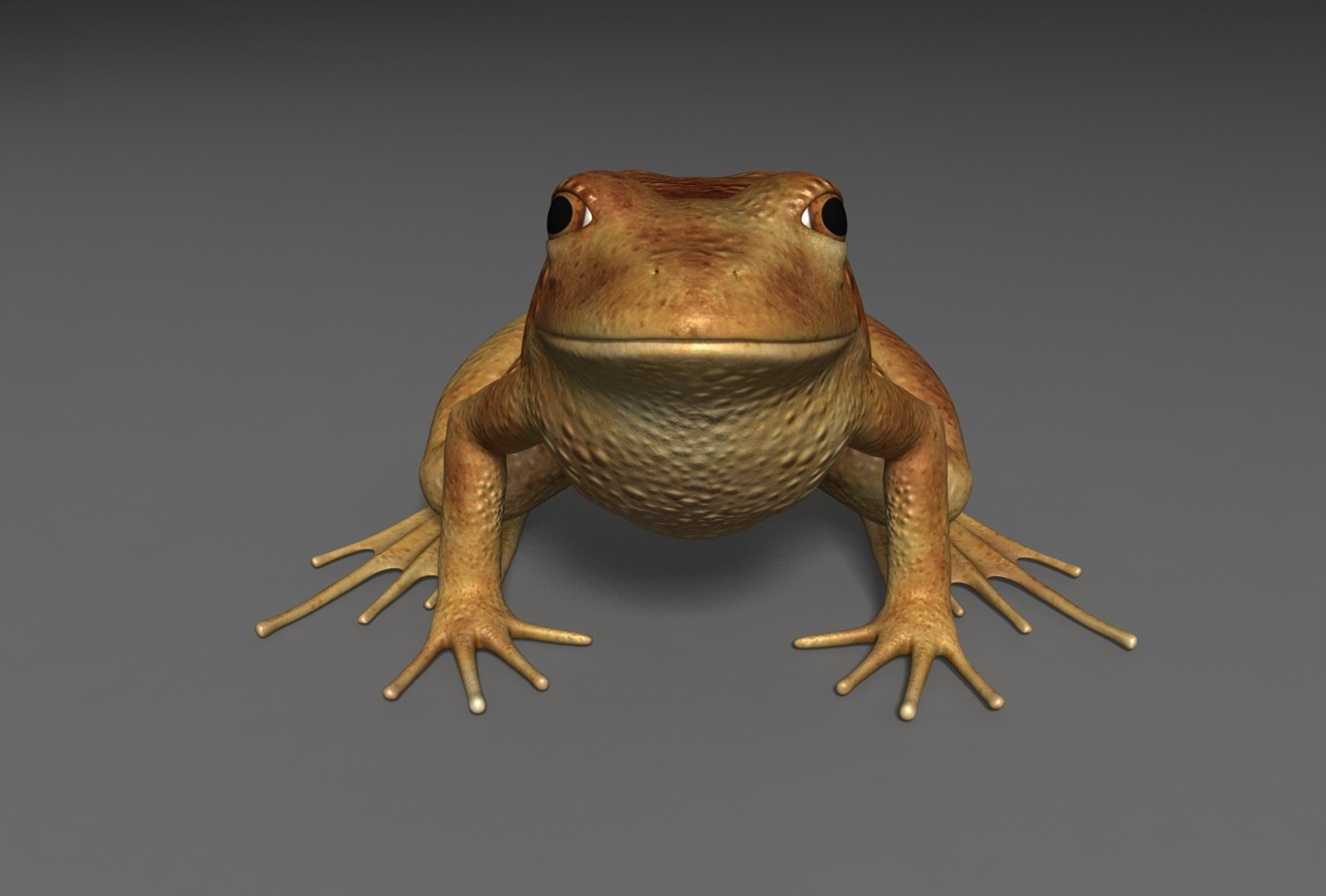 x toad toa https://p.turbosquid.com/ts-thumb/Mv/9lTkbK/zuZ7RNUW/toad_06/jpg/1487488912/1920x1080/fit_q87/5fd98637840a4d2e321b90a77ff4d107a76d730d/toad_06.jpg