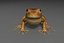 toad
