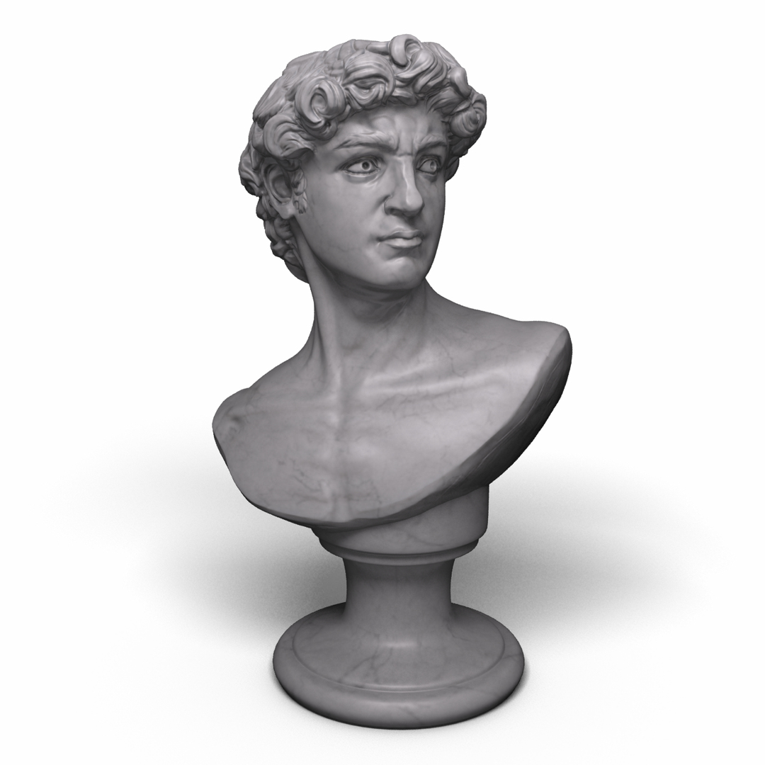 3d David Statue Bust Modeled Model