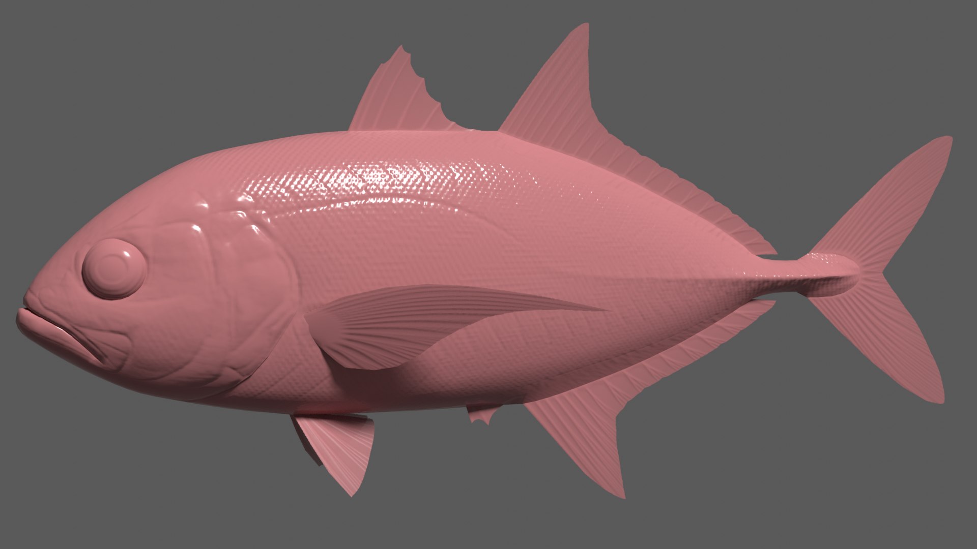 3dsmax bigeye trevally https://p.turbosquid.com/ts-thumb/Mv/Abgh5d/gU/bigeyetrevallybump/png/1616586109/1920x1080/fit_q87/a729d2adeb858f12ac57093a2333846a409fb104/bigeyetrevallybump.jpg