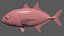 Bigeye trevally