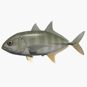 Bigeye trevally