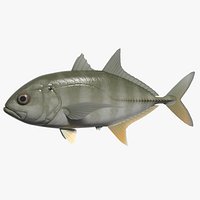 Bigeye trevally