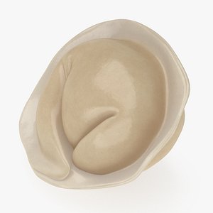 Pelmeni Dumpling Cooked 3D model
