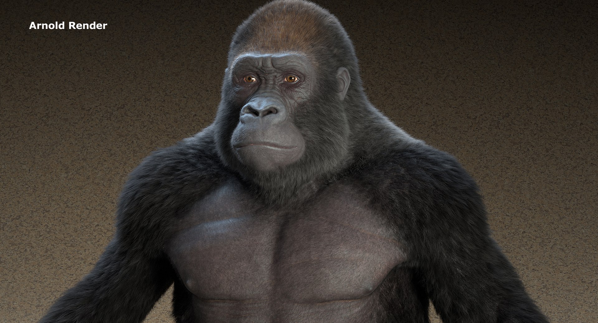 Rigged Gorilla 3D model - TurboSquid 1752118