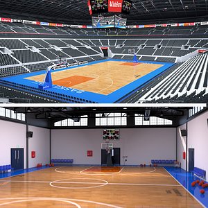 Basketball Court Collection 3 model