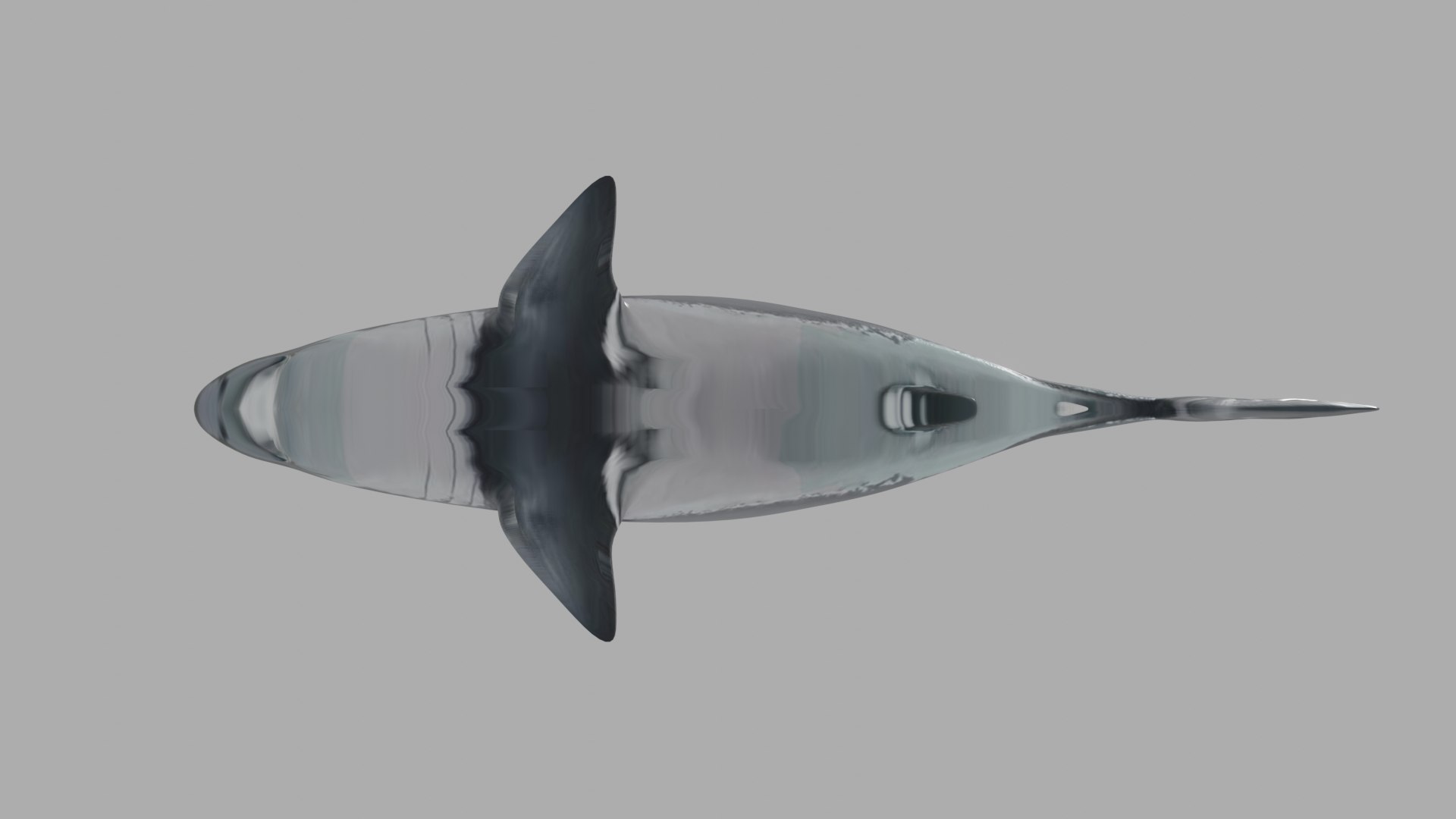 3D shark fish wildlife model https://p.turbosquid.com/ts-thumb/Mv/XWqWsk/ebf410u6/oihoi/png/1609256236/1920x1080/fit_q87/e9f934c7af1626b38fcbe2aaec3fb7112373d94a/oihoi.jpg