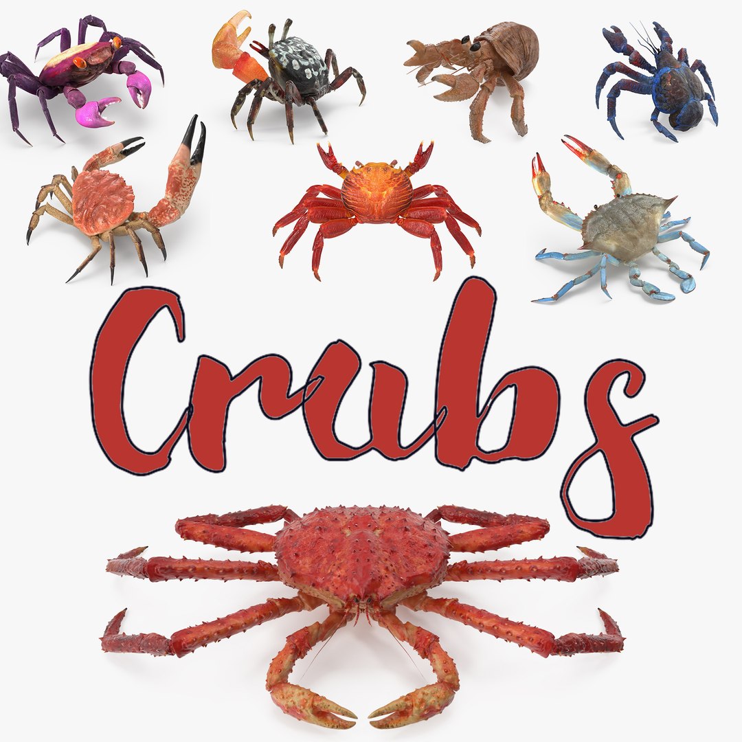 Crabs 3D Models Collection 3 3D model preview