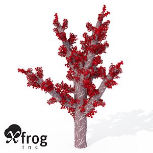 carnation coral 3d model