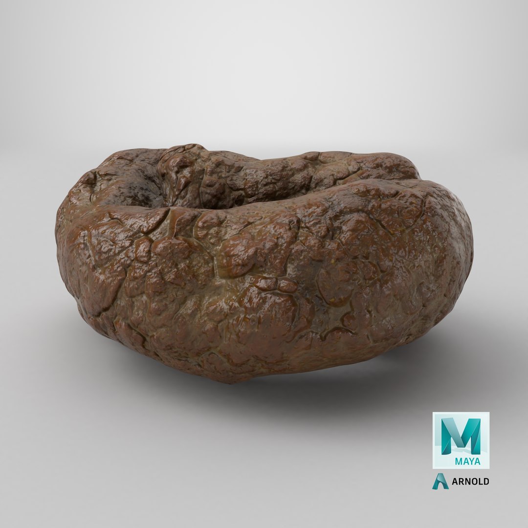 Poop 1 3D https://p.turbosquid.com/ts-thumb/Mv/tmHEQ0/md/stemcell_maya_arnold_render/png/1737729076/1920x1080/fit_q87/77fdc04fad38f327e16456f6fd1b5562629fde5c/stemcell_maya_arnold_render.jpg