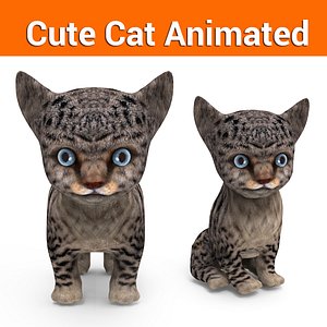 cute kitten cat animated