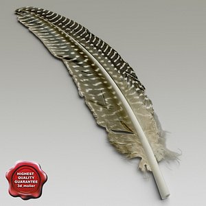 3d model bird feather v3