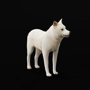 3D Arctic Wolf model