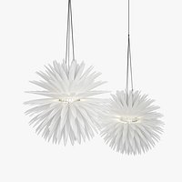 Jeremy Cole White Flax