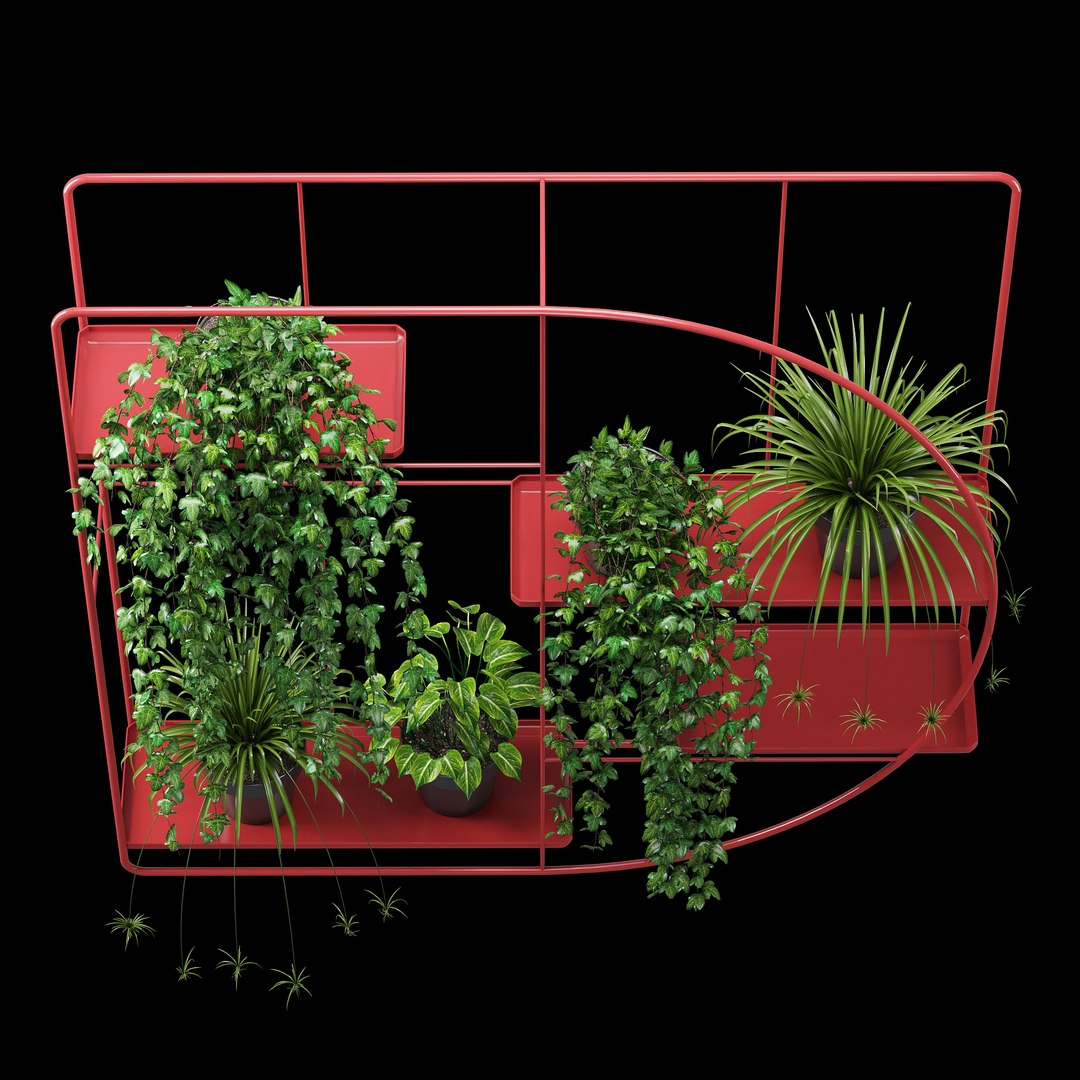 3D bujnie plant model https://p.turbosquid.com/ts-thumb/Mw/gnwo2k/6H7eT0MG/dtree_2/jpg/1582714558/1920x1080/fit_q87/23b739c179433a15a717a4a9977c1851202237ce/dtree_2.jpg