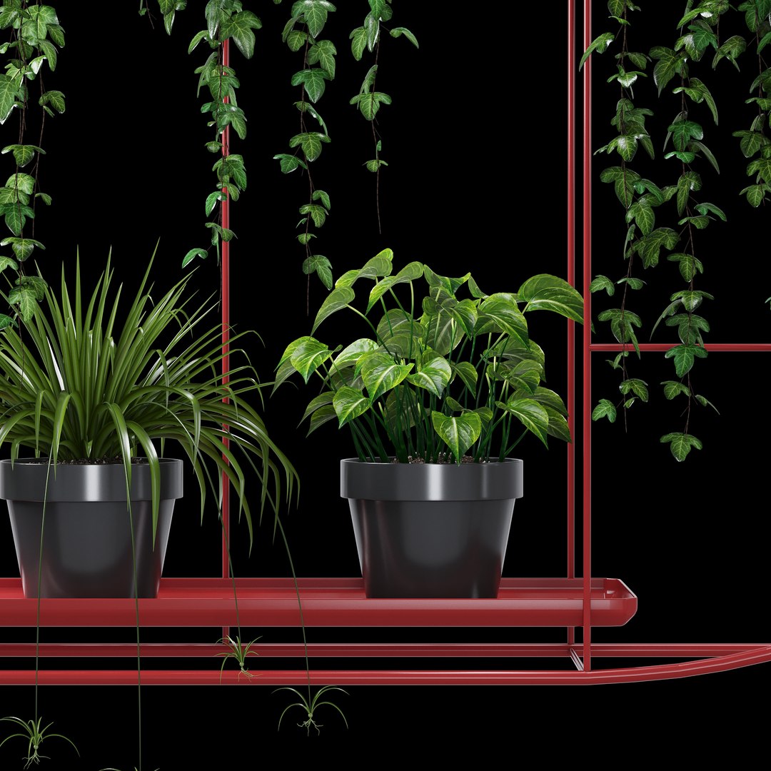 3D bujnie plant model https://p.turbosquid.com/ts-thumb/Mw/gnwo2k/6y0P4LW3/dtree_6/jpg/1582714590/1920x1080/fit_q87/fad3eb99a746805b6d820f97caed2fc8d862285e/dtree_6.jpg