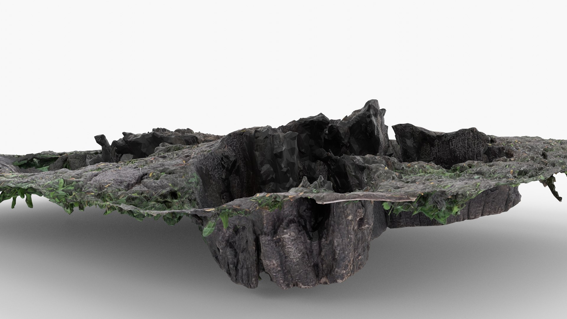 Photorealistic 3D scan of Tree Sawed Stump 3D model https://p.turbosquid.com/ts-thumb/Mw/pAeD7L/ai/view_090001/jpg/1745918608/1920x1080/fit_q87/3b742777bb4c79aec1ed997402691662f698a406/view_090001.jpg