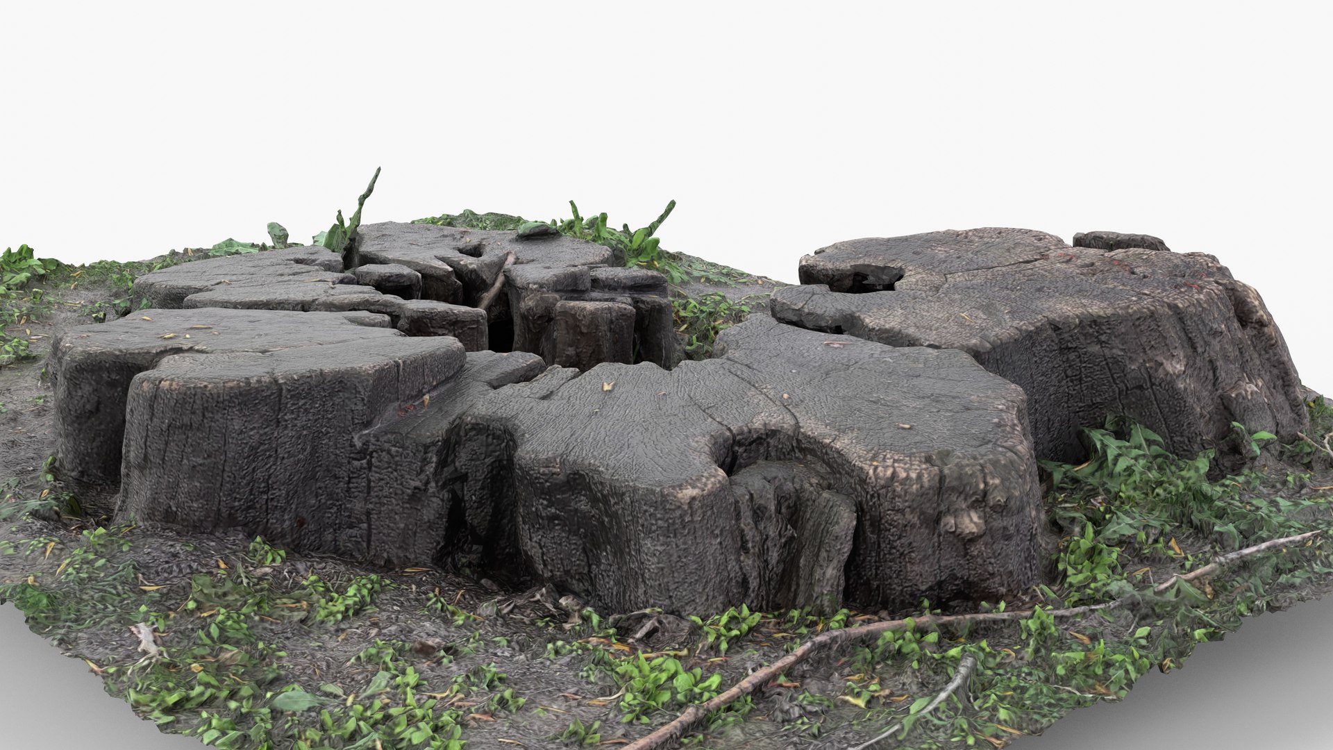 Photorealistic 3D scan of Tree Sawed Stump 3D model https://p.turbosquid.com/ts-thumb/Mw/pAeD7L/ak/view_130001/jpg/1745918611/1920x1080/fit_q87/b719ac6abe18f5716fdbf96711243525e1b8ee58/view_130001.jpg