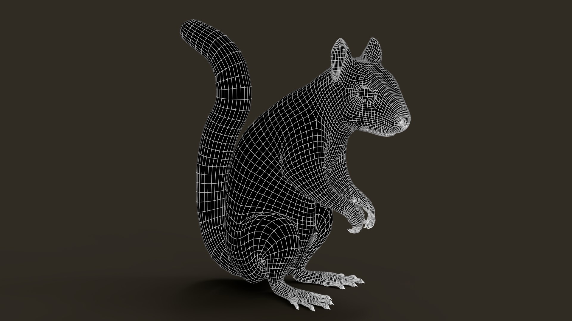 Brown Squirrel Fur 3D model https://p.turbosquid.com/ts-thumb/Mw/vjJR1P/7e/wirea/jpg/1750864850/1920x1080/fit_q87/63dcf9daca864f2d76822820b8c3a0b6e3b097a5/wirea.jpg