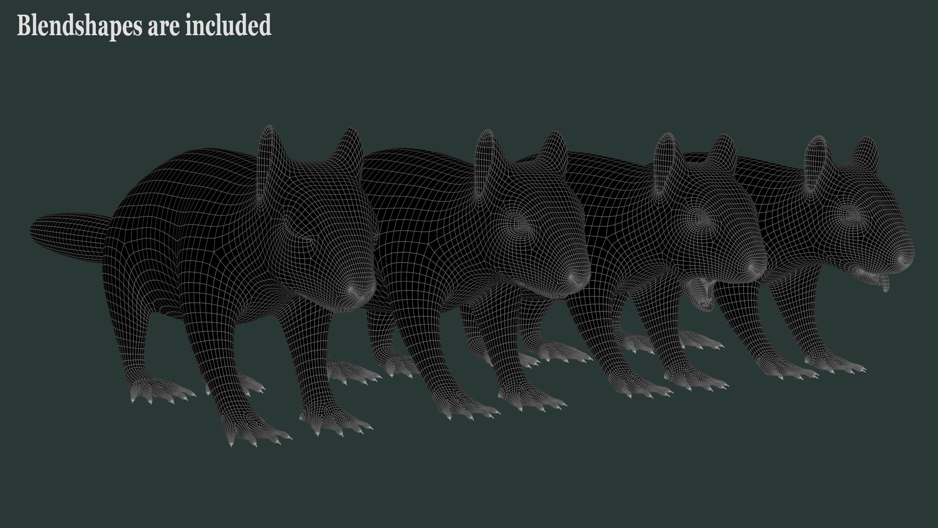 Brown Squirrel Fur 3D model https://p.turbosquid.com/ts-thumb/Mw/vjJR1P/aE/ba/jpg/1750857129/1920x1080/fit_q87/23f89fb02fa0bf39460432247d5615dfefe0ba5b/ba.jpg