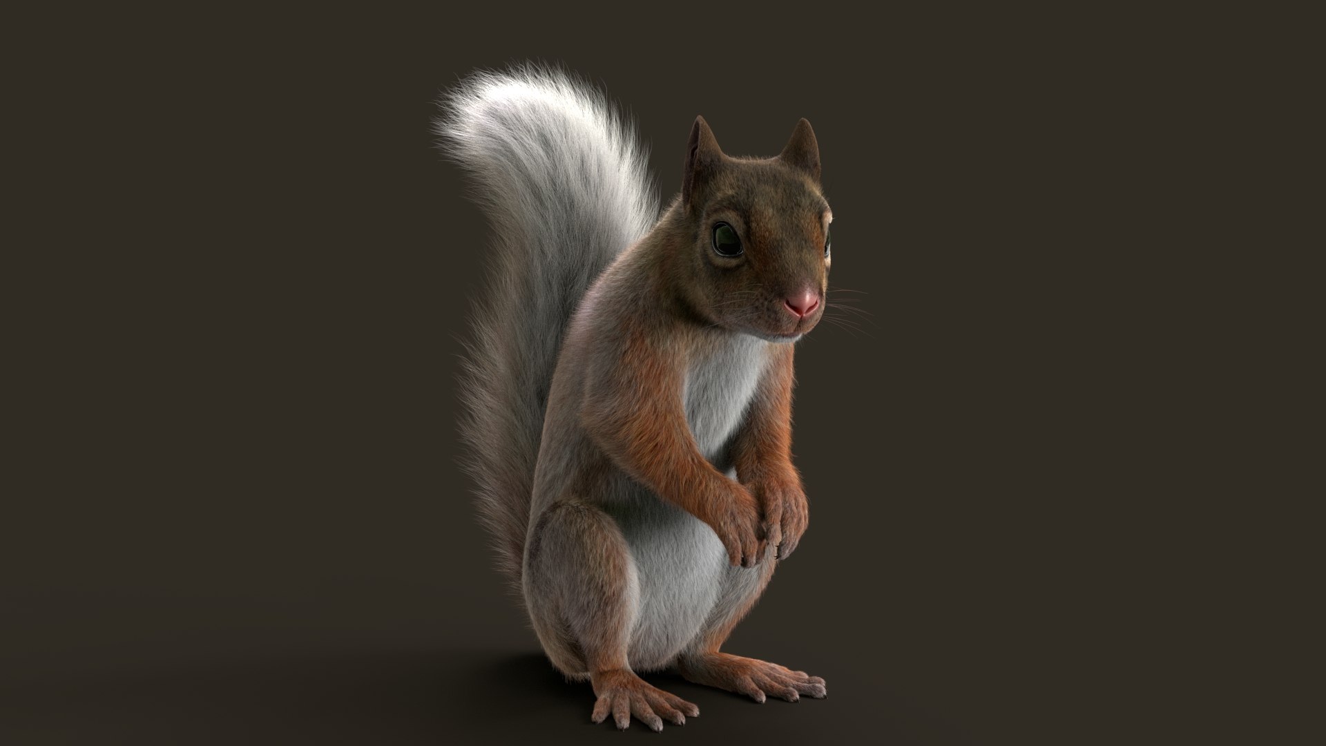 Brown Squirrel Fur 3D model https://p.turbosquid.com/ts-thumb/Mw/vjJR1P/fl/squee/jpg/1750853643/1920x1080/fit_q87/c24f2c61fd6a012701921bb85fc35575cb60e059/squee.jpg