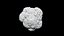broccoli 3D CT scan model decimate 10percent