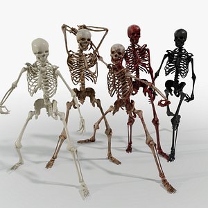 Animated Skeletons model