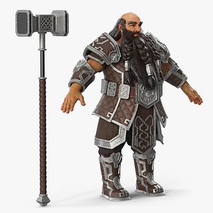 3D Armored Dwarf Warrior with Hammer