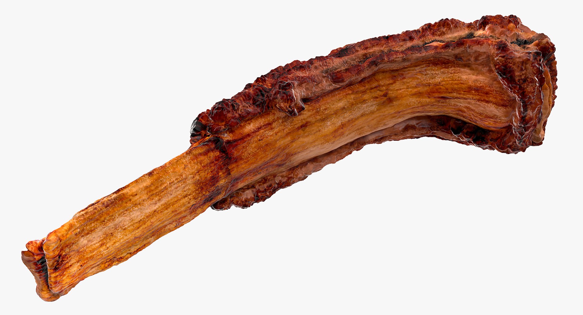 grilled rib 3D model https://p.turbosquid.com/ts-thumb/Mx/Y7FwdV/3ooBzK0o/grilledribmb3dmodel002/jpg/1558426400/1920x1080/fit_q87/4aedcdfa7baa1e428eb242636577b26831b9c2f2/grilledribmb3dmodel002.jpg