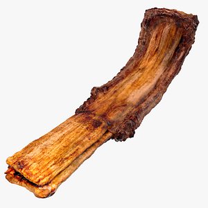 Grilled Rib