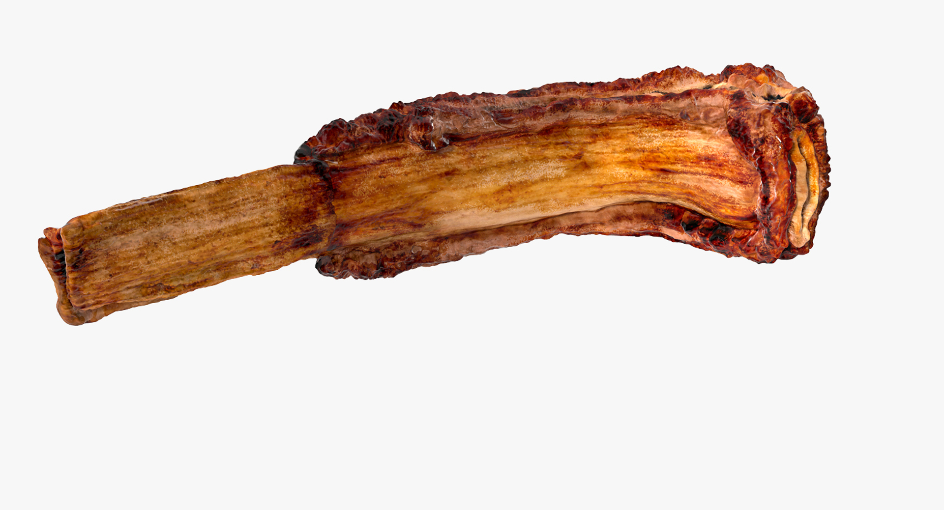 grilled rib 3D model https://p.turbosquid.com/ts-thumb/Mx/Y7FwdV/JRQmznnI/grilled_rib_360/jpg/1558425907/1920x1080/turn_fit_q99/01f849679b3913a53ecac62f5b34a67600e0ec61/grilled_rib_360-1.jpg