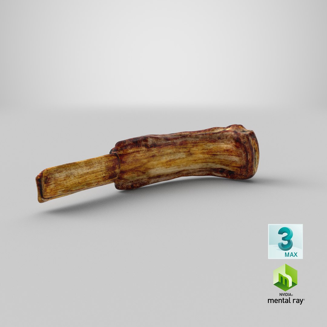 grilled rib 3D model https://p.turbosquid.com/ts-thumb/Mx/Y7FwdV/gfBaAziJ/stemcell_max_mental_ray_render/png/1583334389/1920x1080/fit_q87/6754d178151e083a3f2542734c95833a3c78e040/stemcell_max_mental_ray_render.jpg
