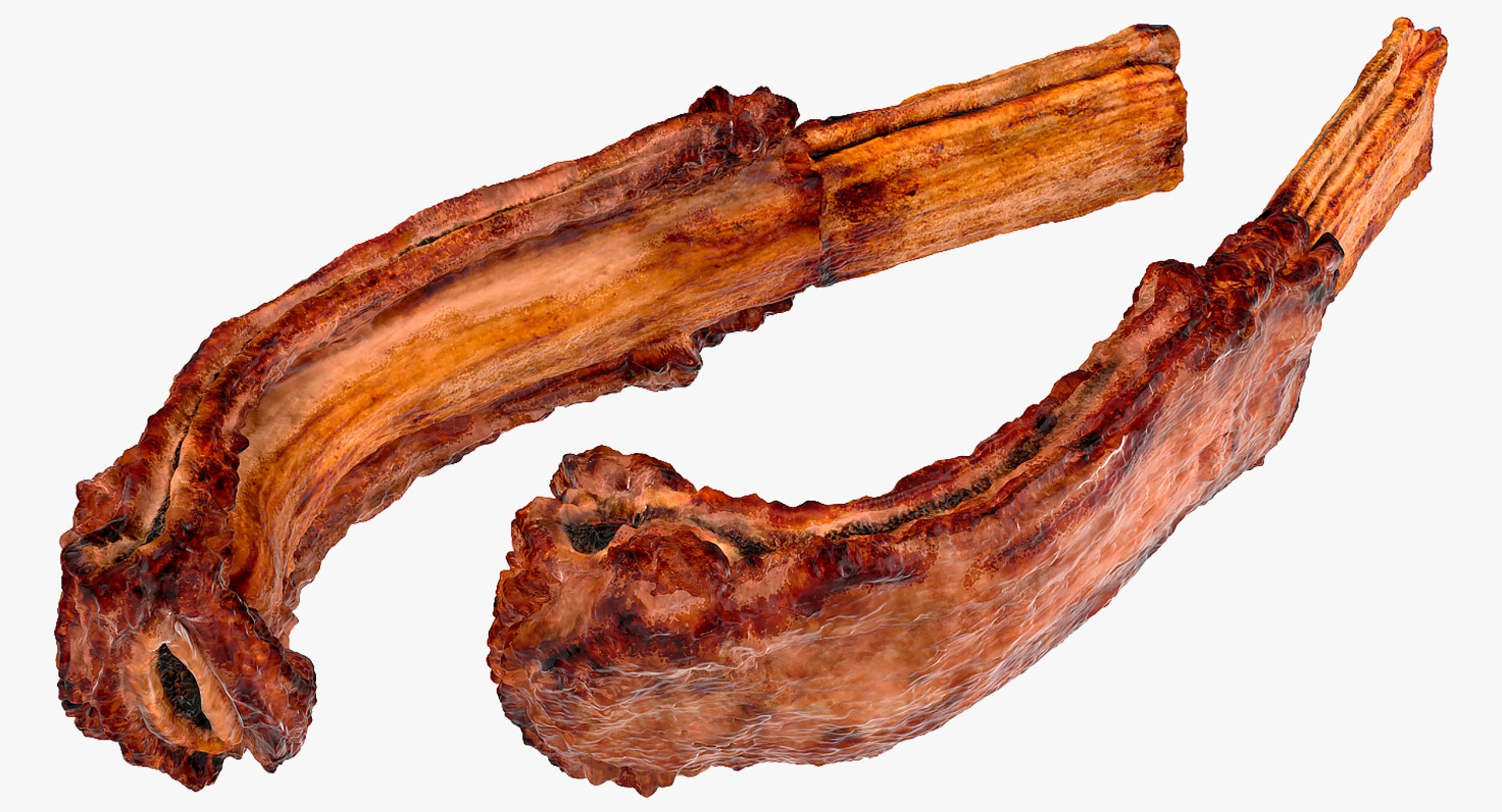 grilled rib 3D model https://p.turbosquid.com/ts-thumb/Mx/Y7FwdV/oOm7fqHS/grilledribmb3dmodel004/jpg/1558426411/1920x1080/fit_q87/7aee702d76995137f1360f3317d5f9db67169fe6/grilledribmb3dmodel004.jpg