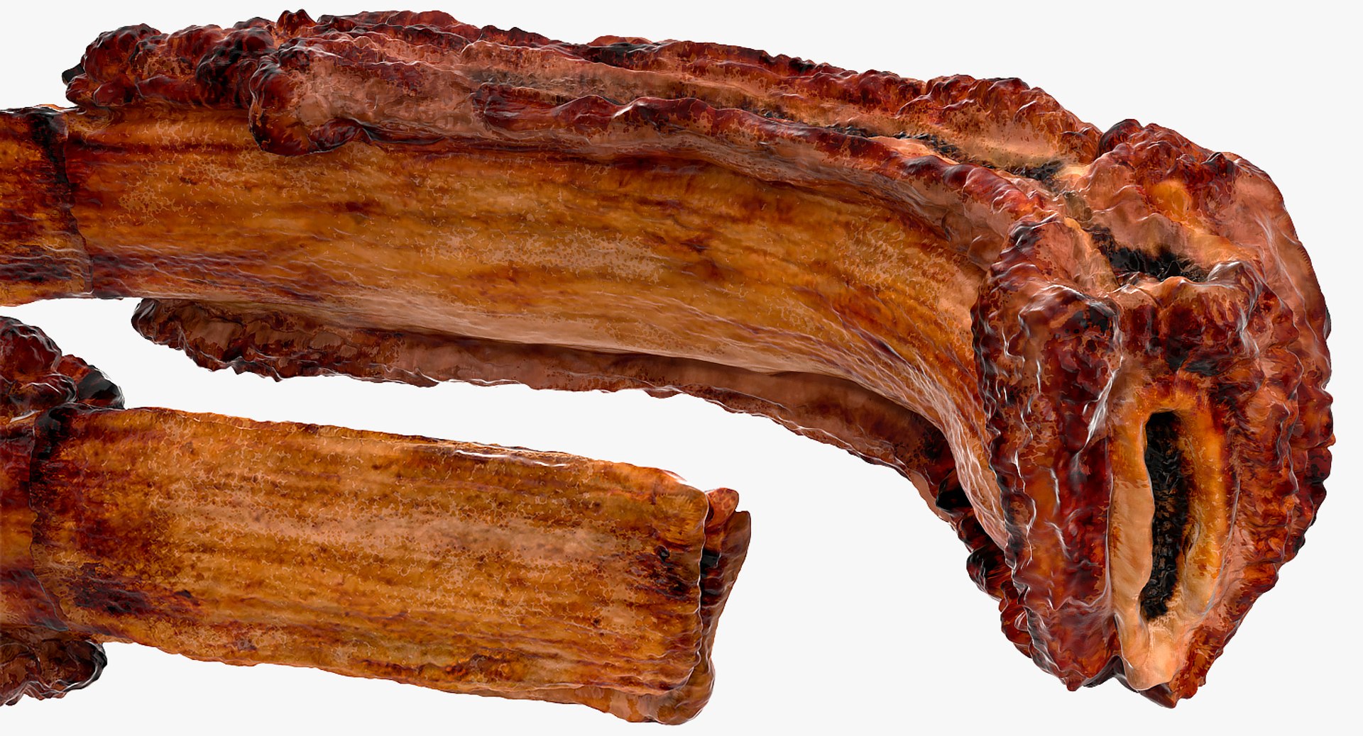 grilled rib 3D model https://p.turbosquid.com/ts-thumb/Mx/Y7FwdV/qKHt0Zrd/grilledribmb3dmodel005/jpg/1558426414/1920x1080/fit_q87/1fef98f9d46a7276468ac932327c8c923011a1bb/grilledribmb3dmodel005.jpg