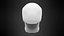 Human Skull