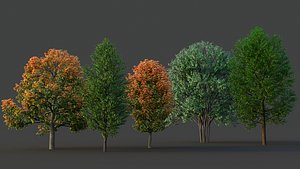 XfrogPlants Maple Pack